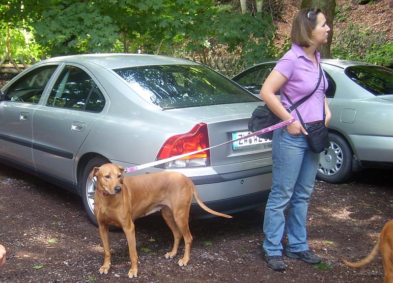 SL730918.JPG - Beim Treffen auf dem Parkplatz, Diva zunächst etwas skeptisch